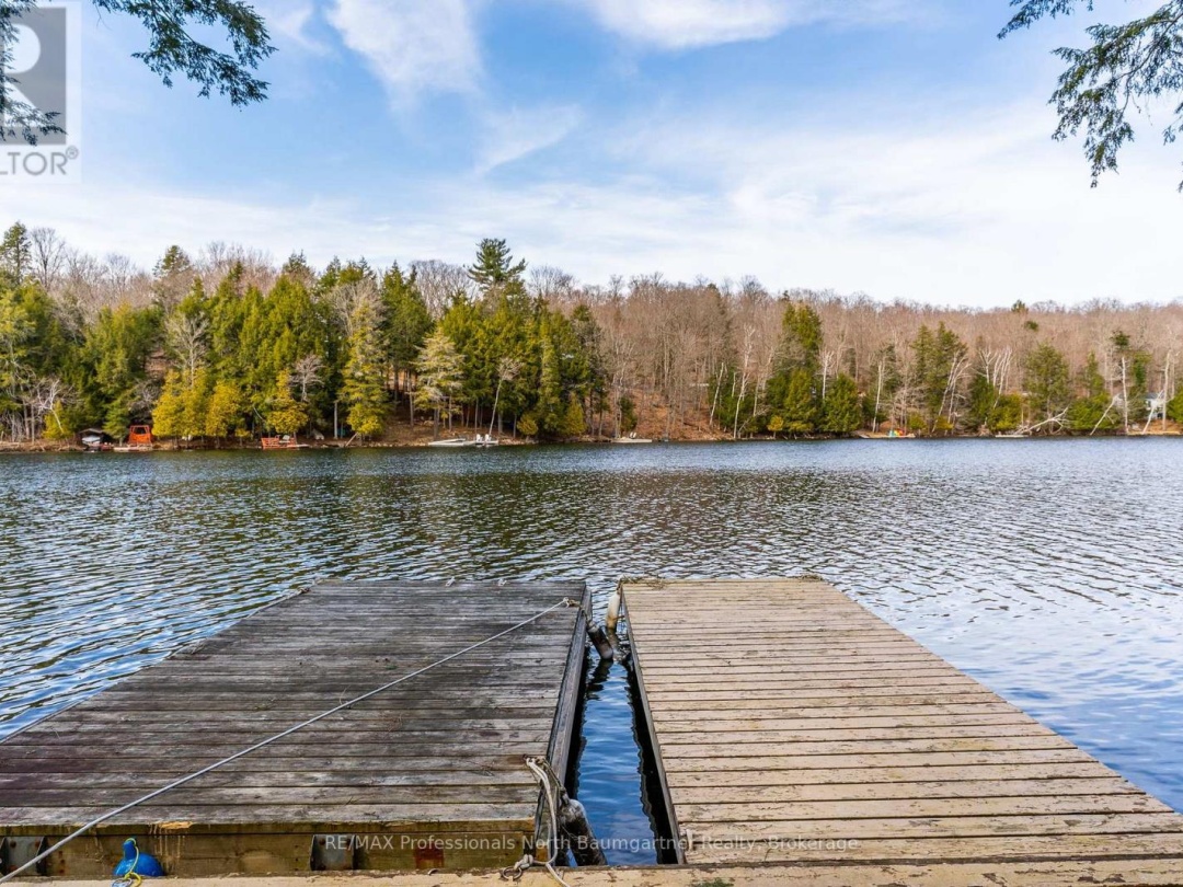 1117 Mink Road, Long Lake