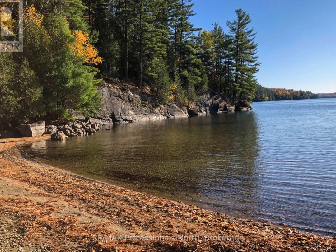 11405 DRAG LAKE EAST SHORE, 