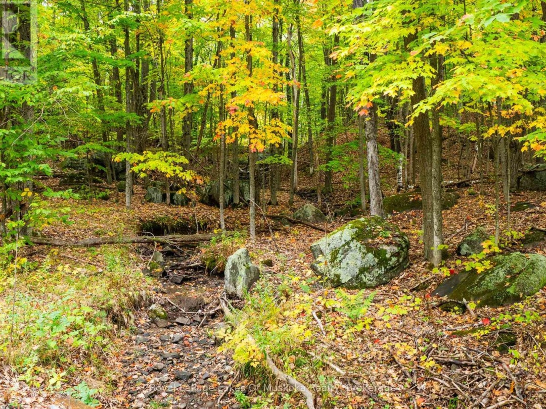 3384 SOUTH PORTAGE ROAD, 