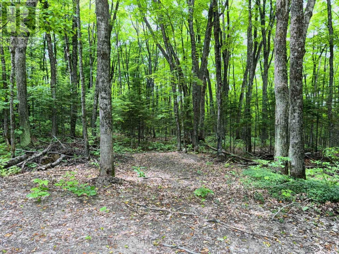 0 LOON LAKE ROAD, 