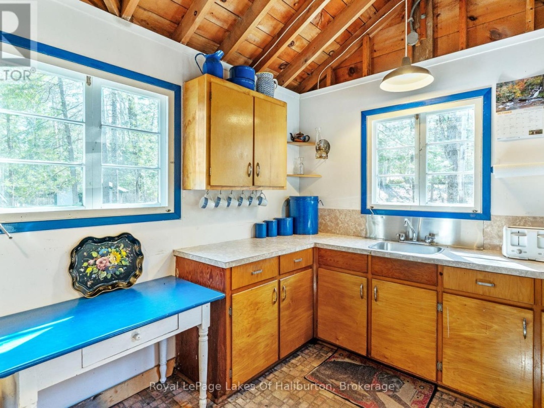 1096 Reg's Trail, Drag Lake