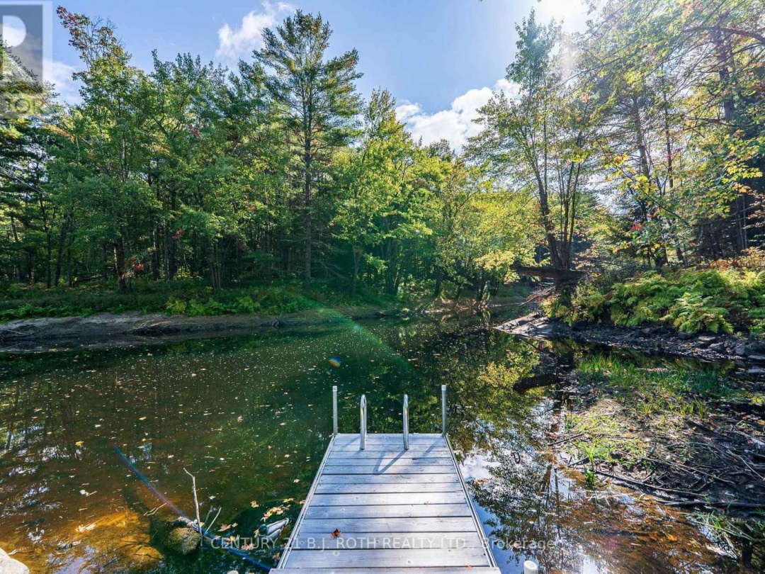 8101 KINGS RIVER ROAD, 