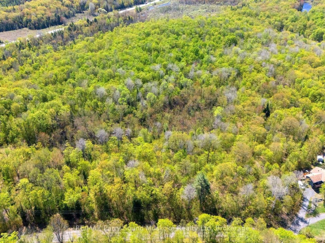 1835 LORIMER LAKE ROAD N, 
