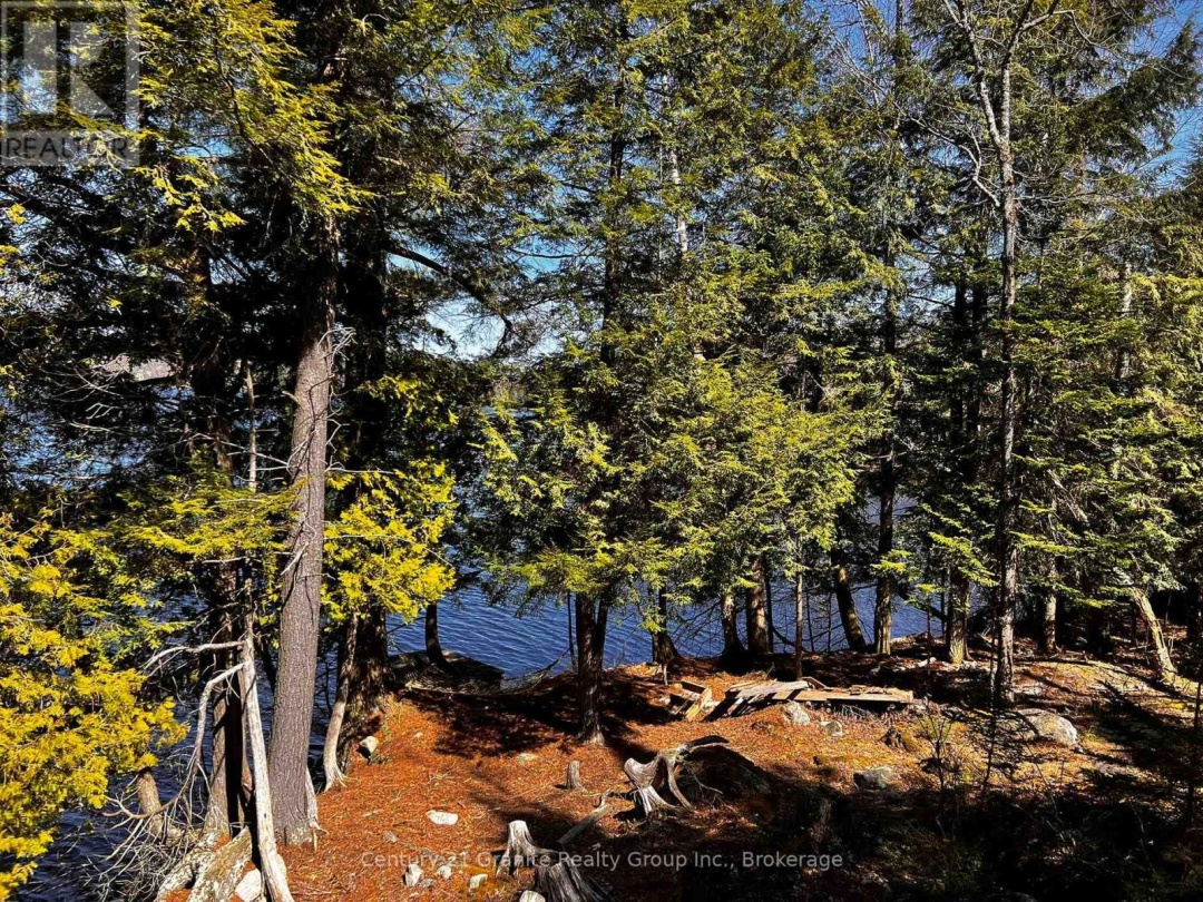 1208 Reg's Trail, Drag Lake