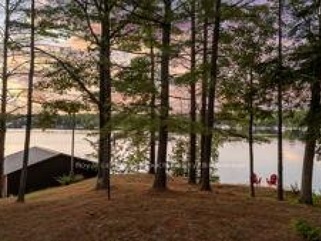 211 PICKEREL POINT ROAD, 
