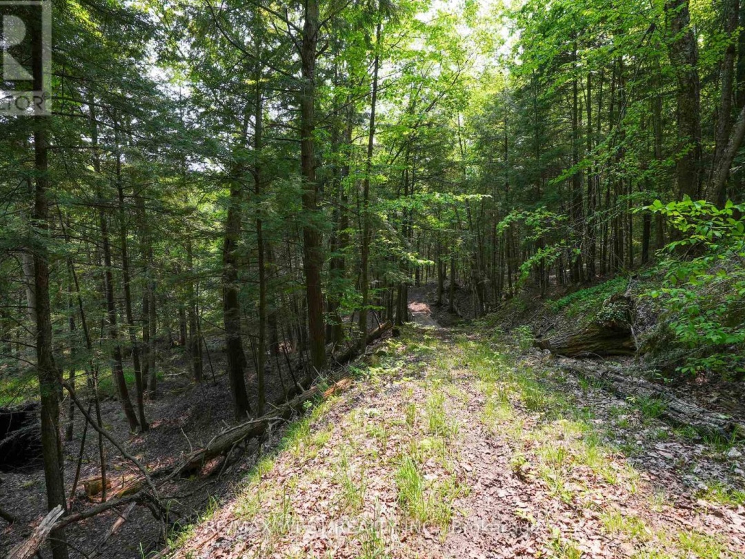 741 Ingram Road, Coldwater Lake
