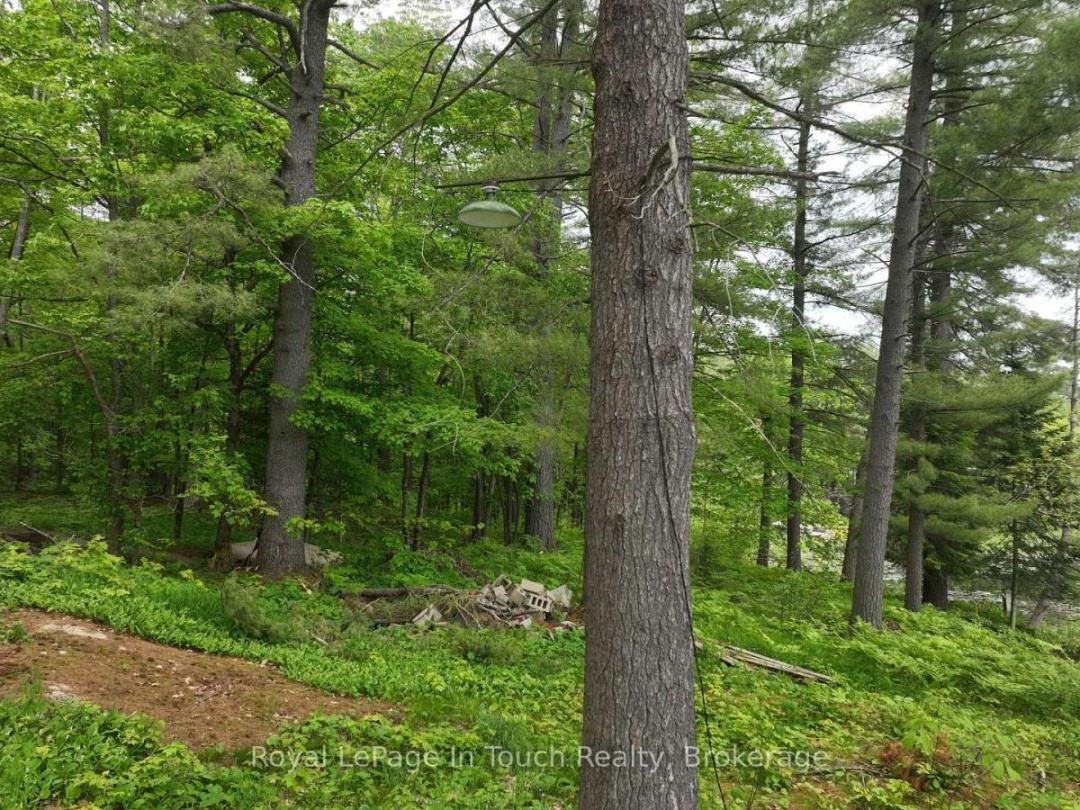 19 SR404 SEVERN RIVER SHORE, 
