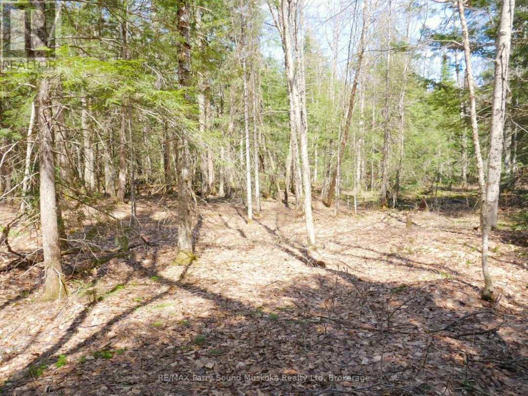 3 GREENWOOD CAMP ROAD, Seguin