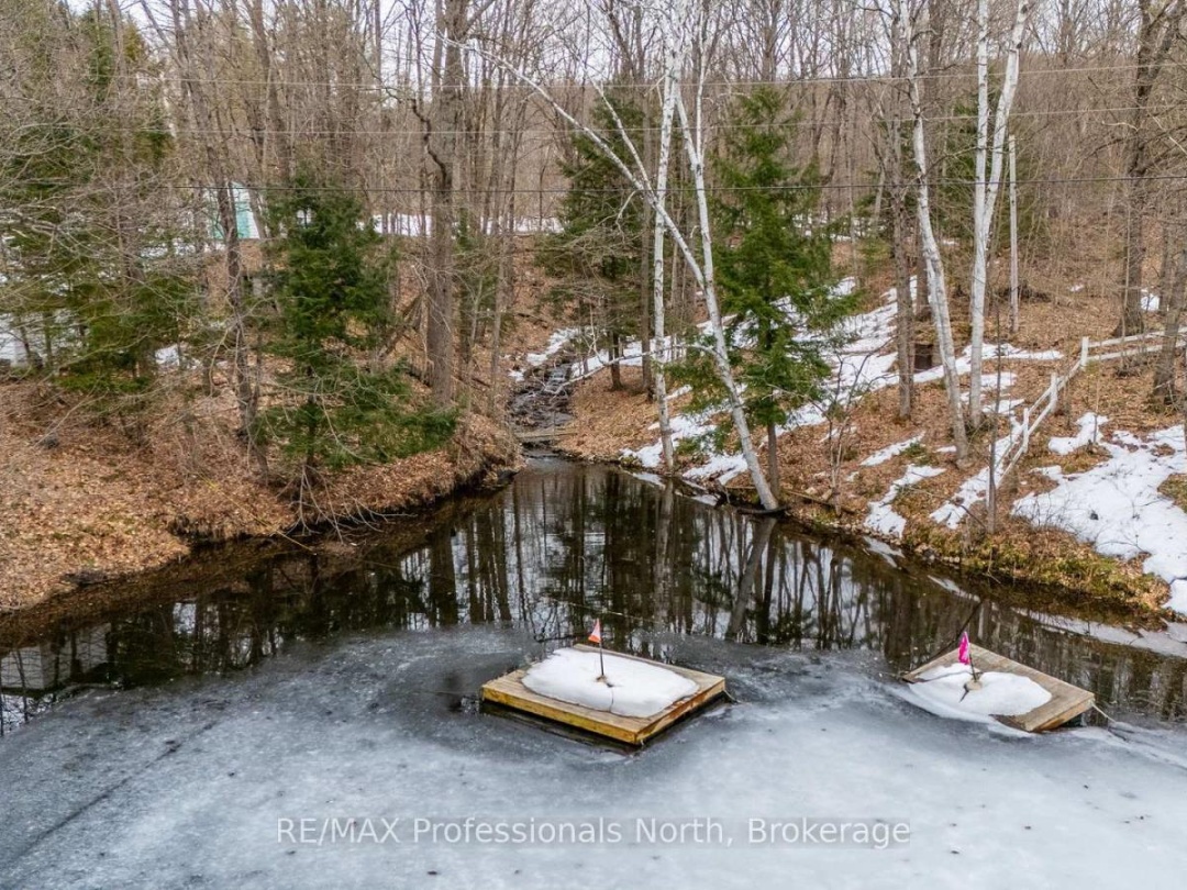 1010 Sturgeon Drive, Minden Lake
