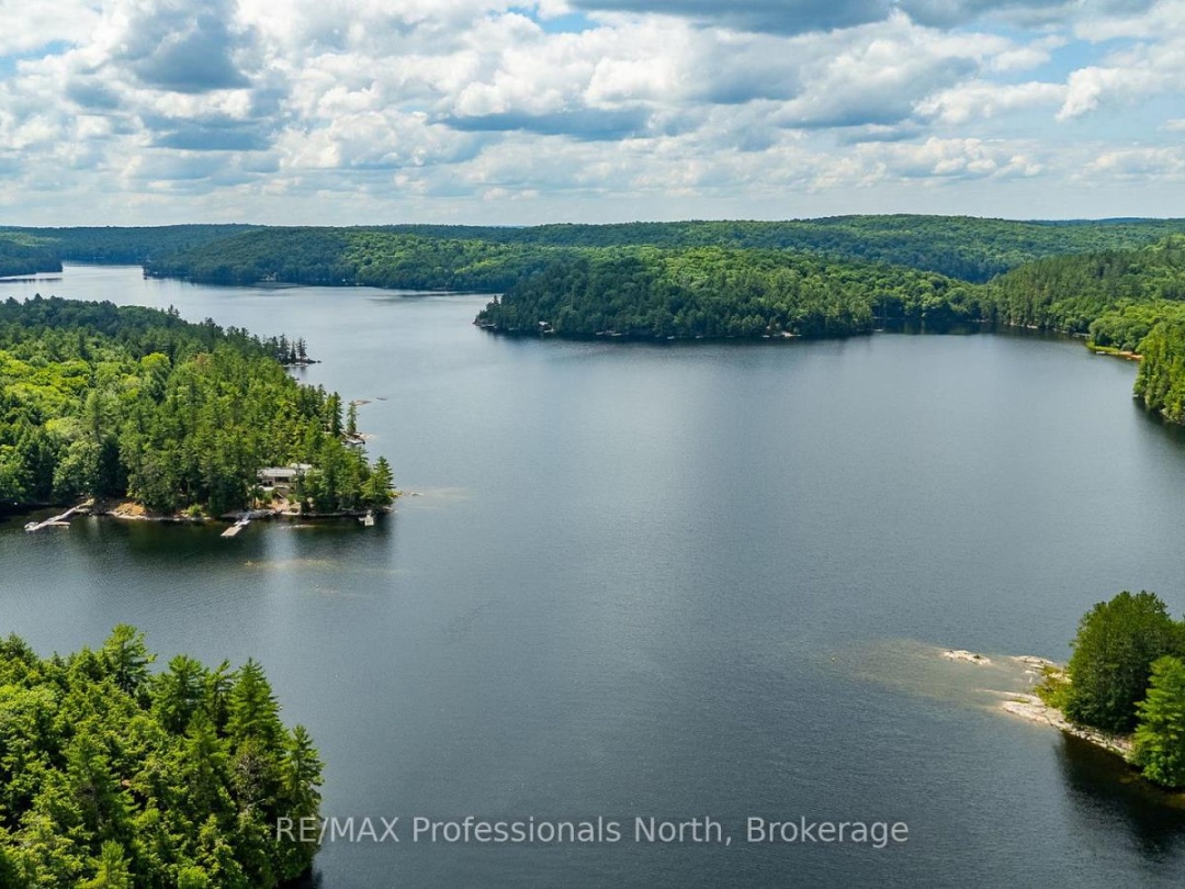 53437 BIG HAWK LAKE, 