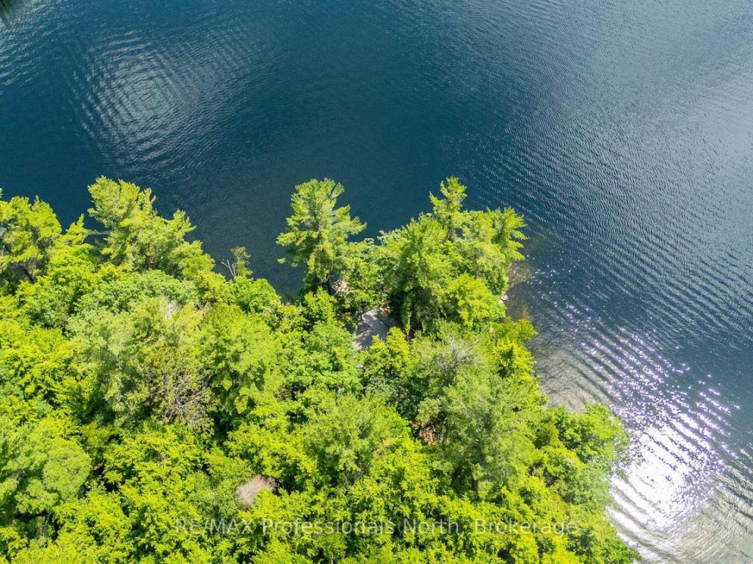 53437 BIG HAWK LAKE, 