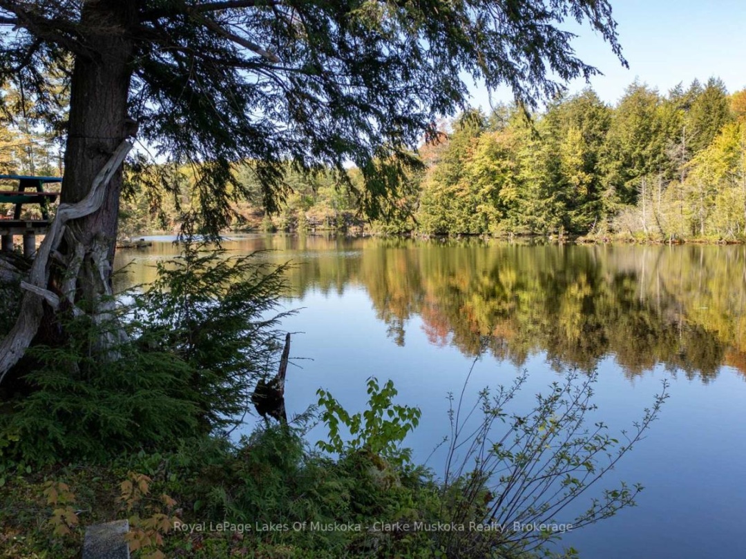 733 Whites Falls Road, Six Mile Lake