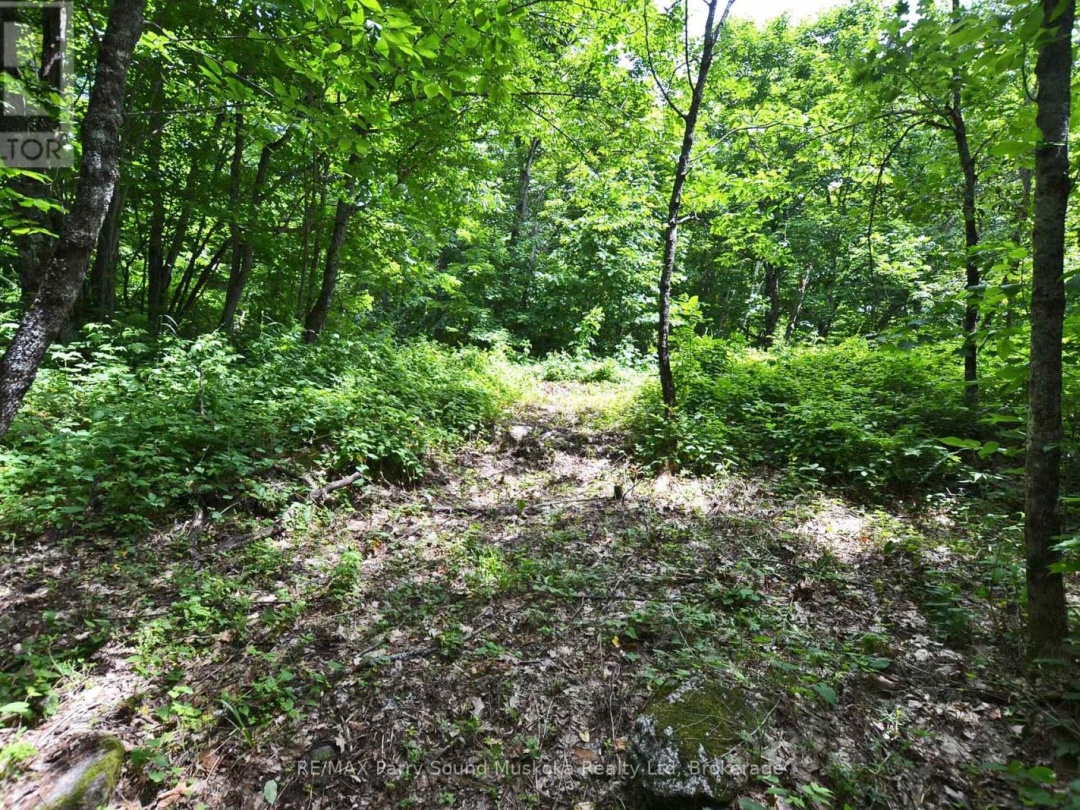 LOT 1 SHIELDS DRIVE, 