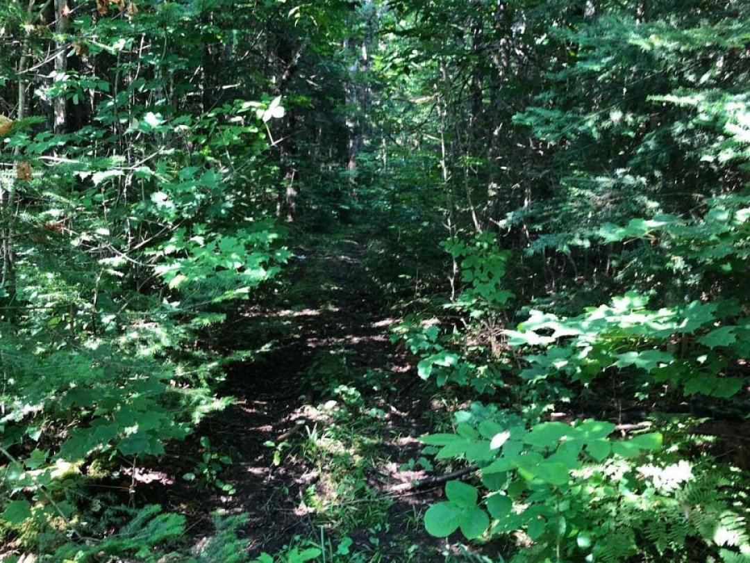 LOT 6-10 MOON ROAD, 