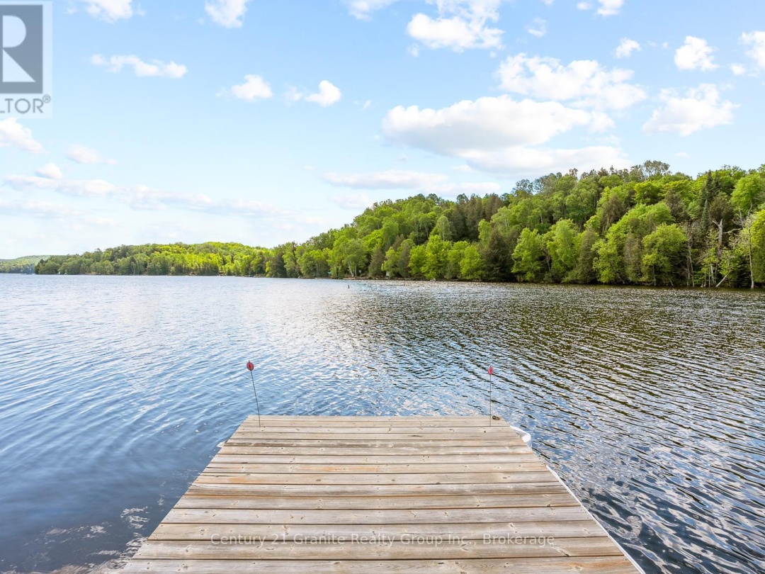 1036 Shirleys Road, Haliburton Lake
