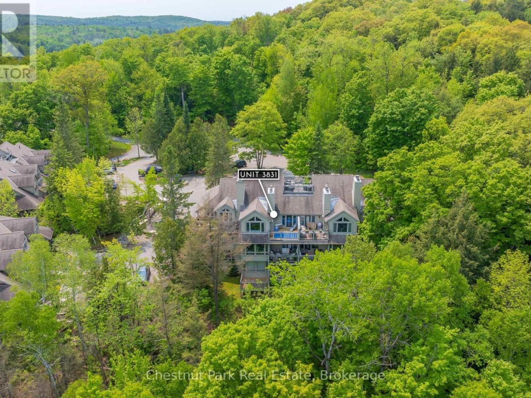 3831 GRANDVIEW FOREST HILL DRIVE, 