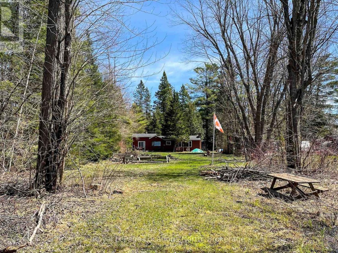 239 Monck Rd Cty 45, Young Lake