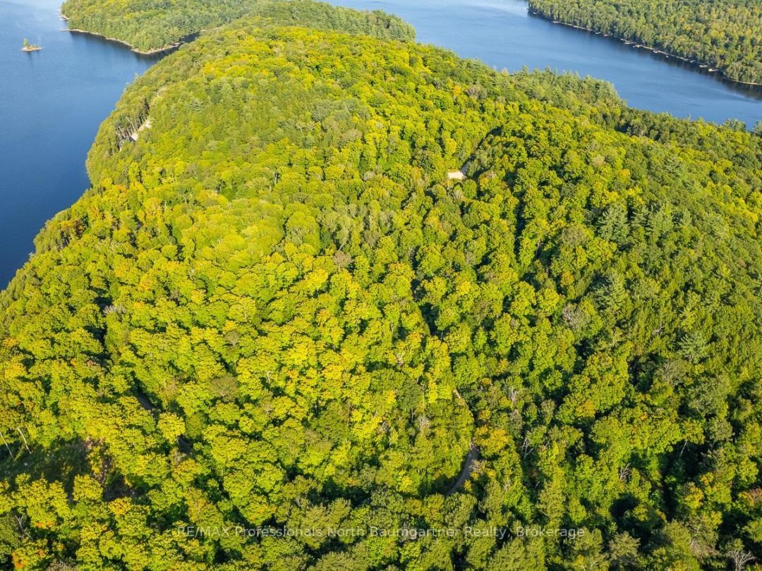 0 ADELINE TRAIL TRAIL, 