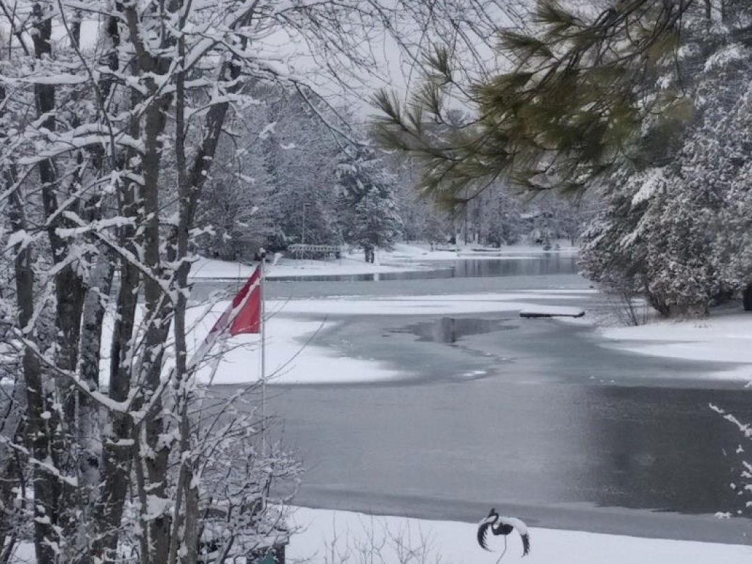 7862 Birch Drive, Severn Lake