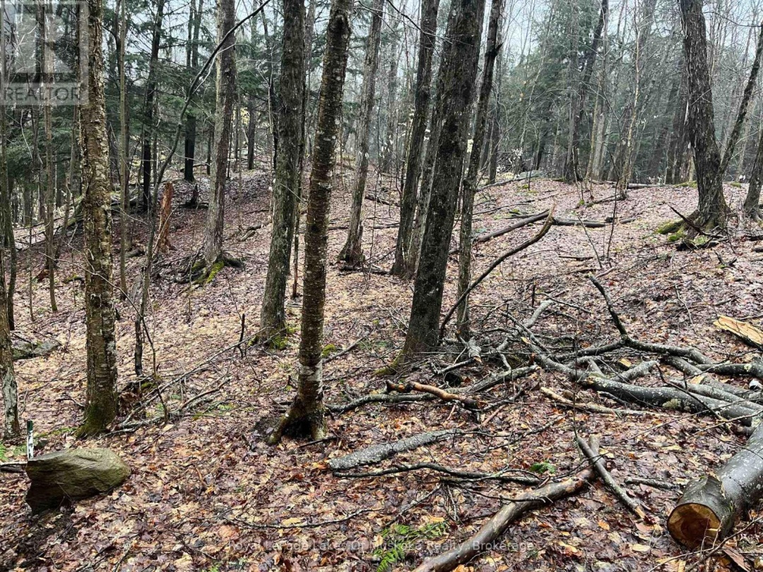 Lot 90 Lookout Point Road, Lake Vernon