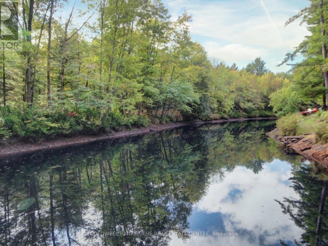 54 BLACK RIVER ROAD, 