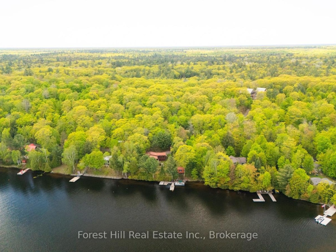 445 Lorimer Lake Road, Lorimer Lake