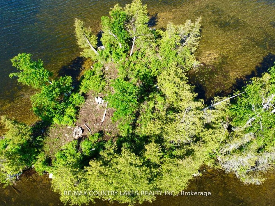 Lt 1 Island, Canal Lake