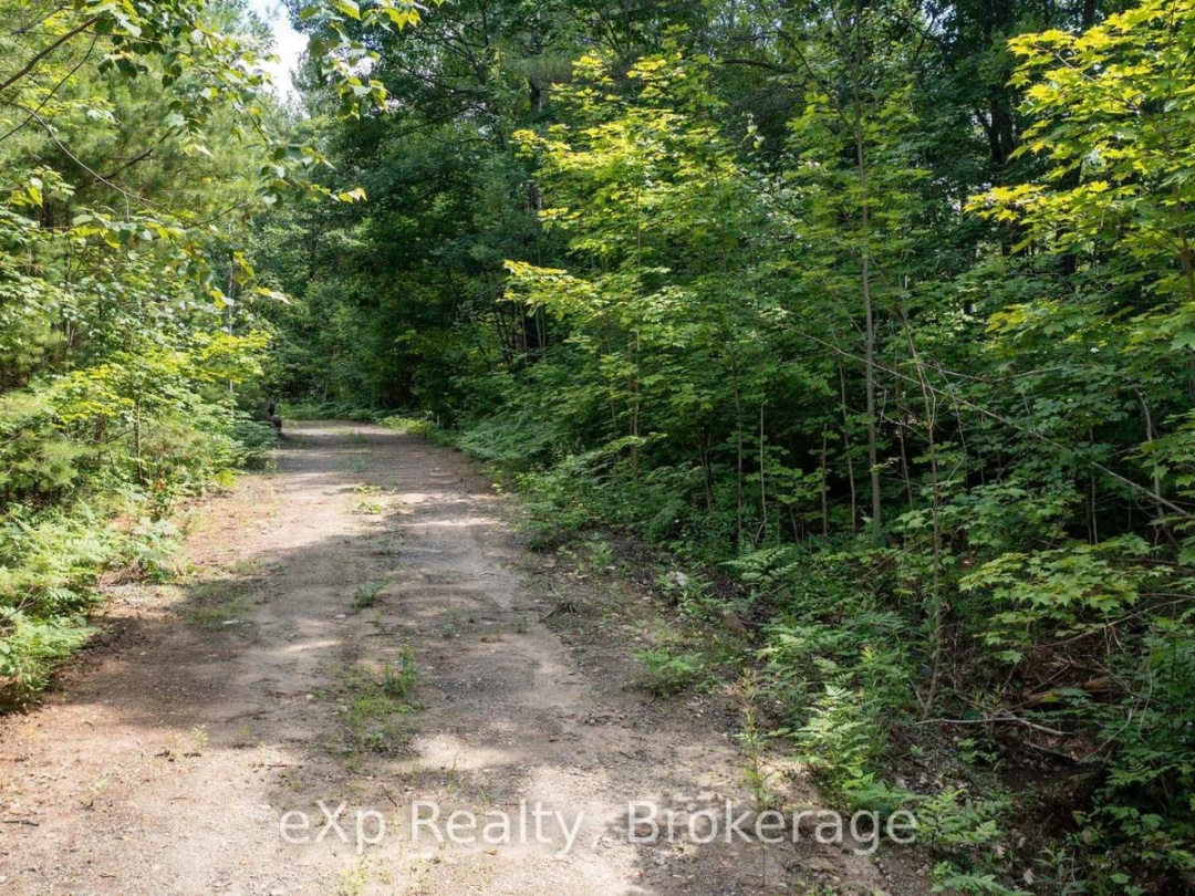 0 Oastler Park Drive, Seguin