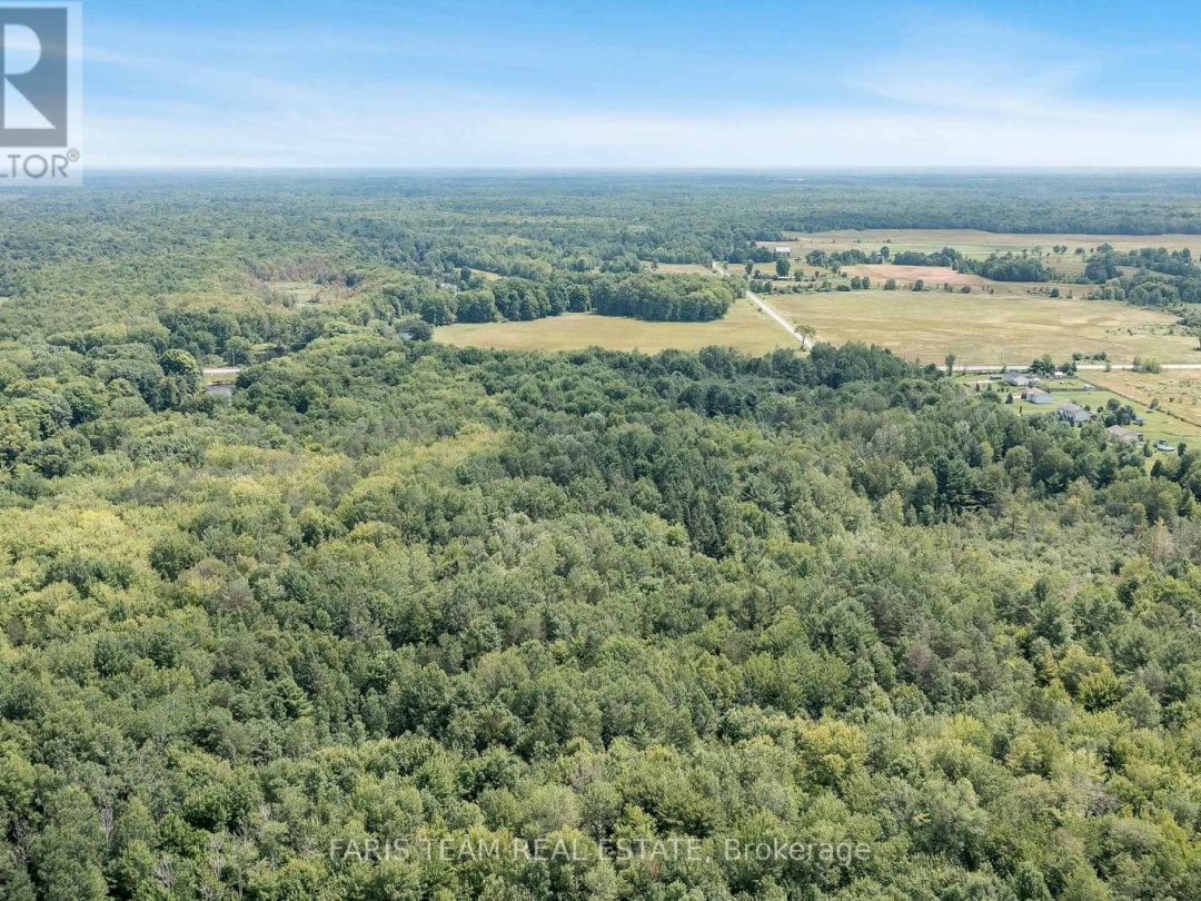 6928 COUNTY ROAD 169, Black Lake