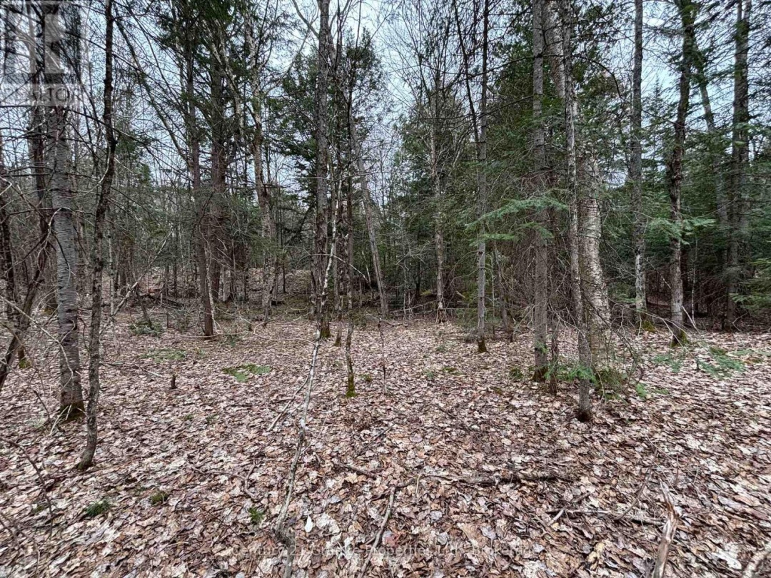 LOT 1 LOCH ERNE ROAD, McDougall