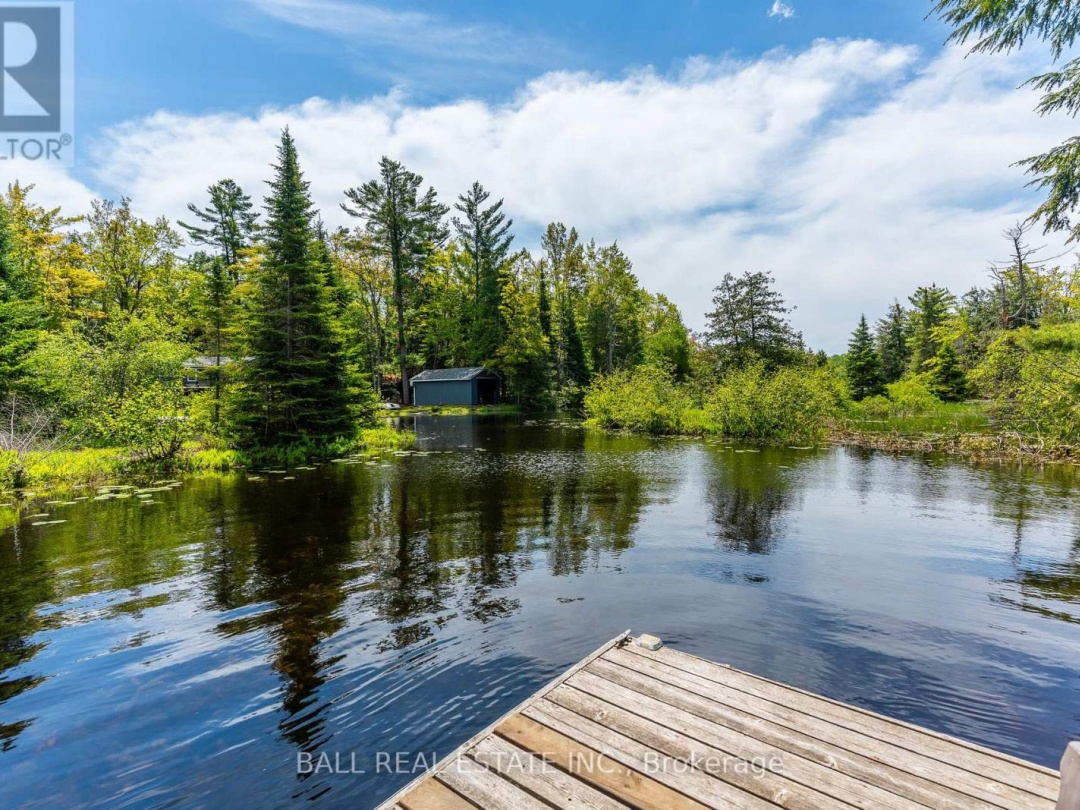 73 SUNSET COURT, Little Bald Lake