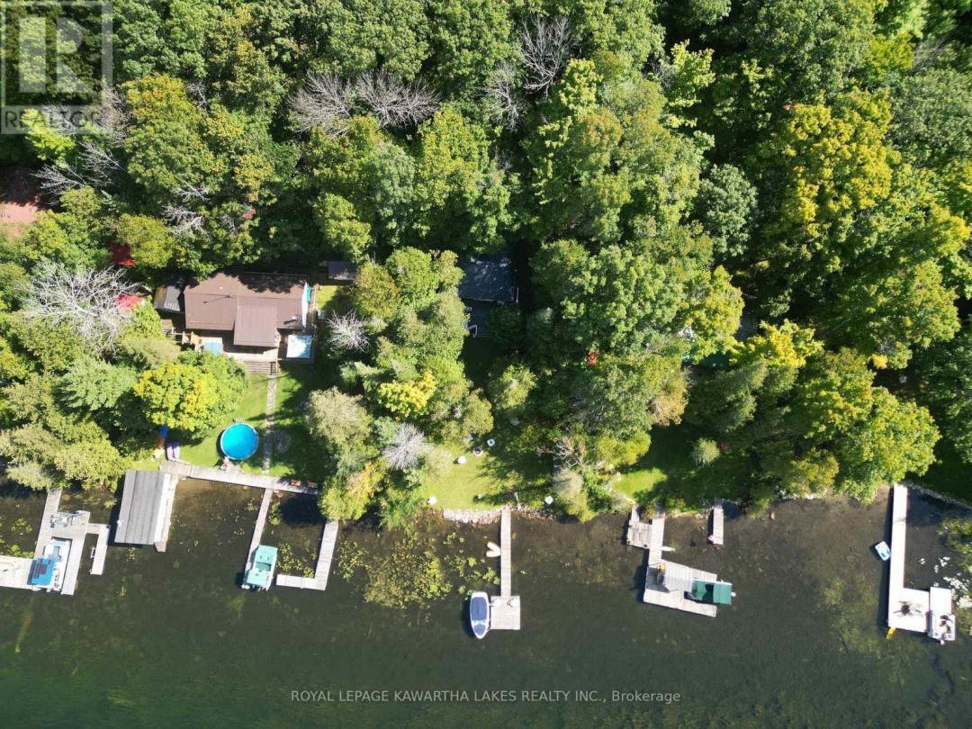 34 Deweys Island, Cameron Lake