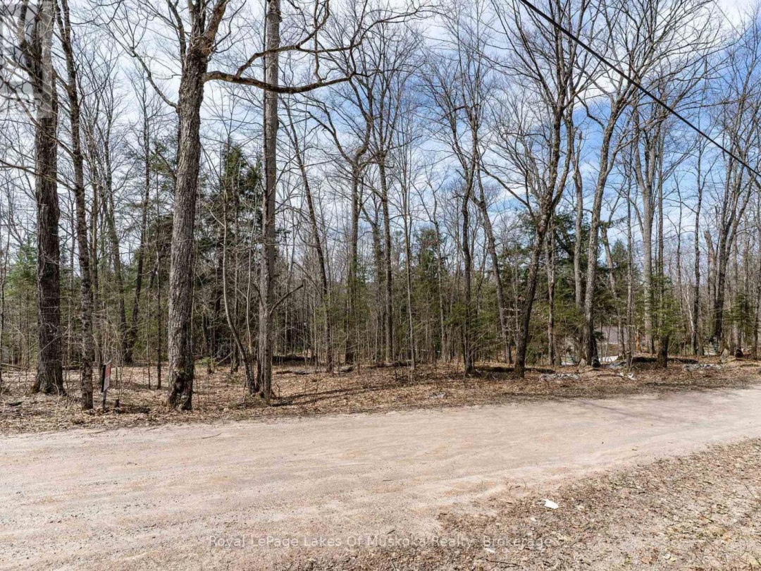 0 Bird Lake Road, Bird Lake
