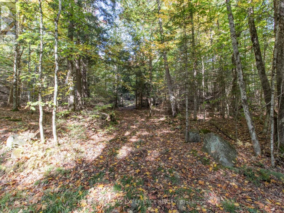 0 LYNX LAKE ROAD, 