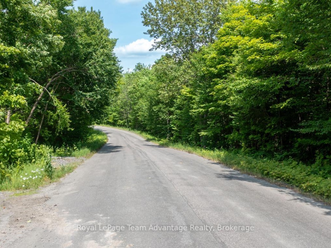 40 SUNNYSHORE PARK DRIVE, 