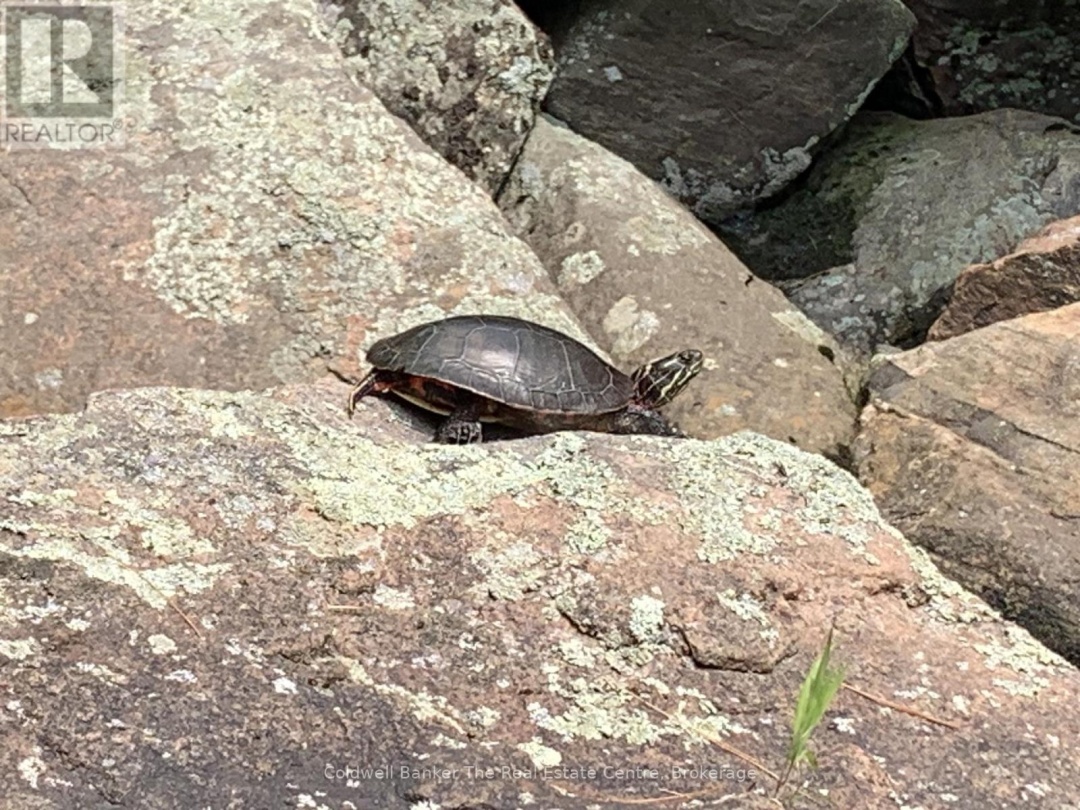 1517 SOUTHWOOD ROAD,