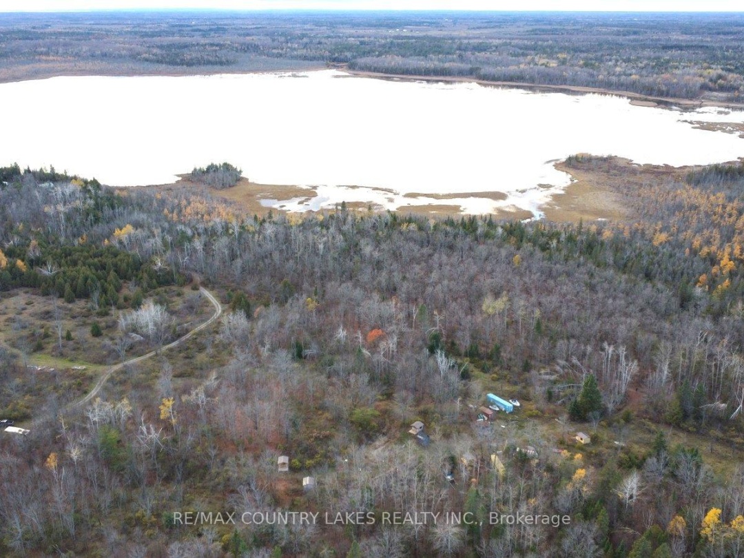 LT3 RAMBLEWOOD TRAIL,