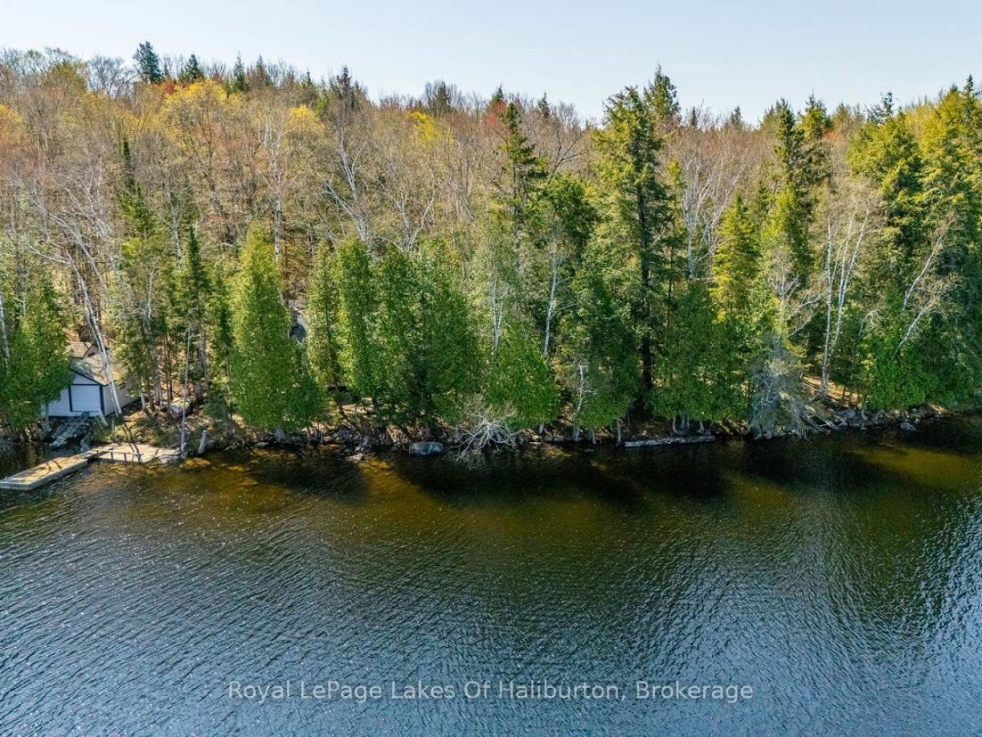 1096 Reg's Trail, Drag Lake