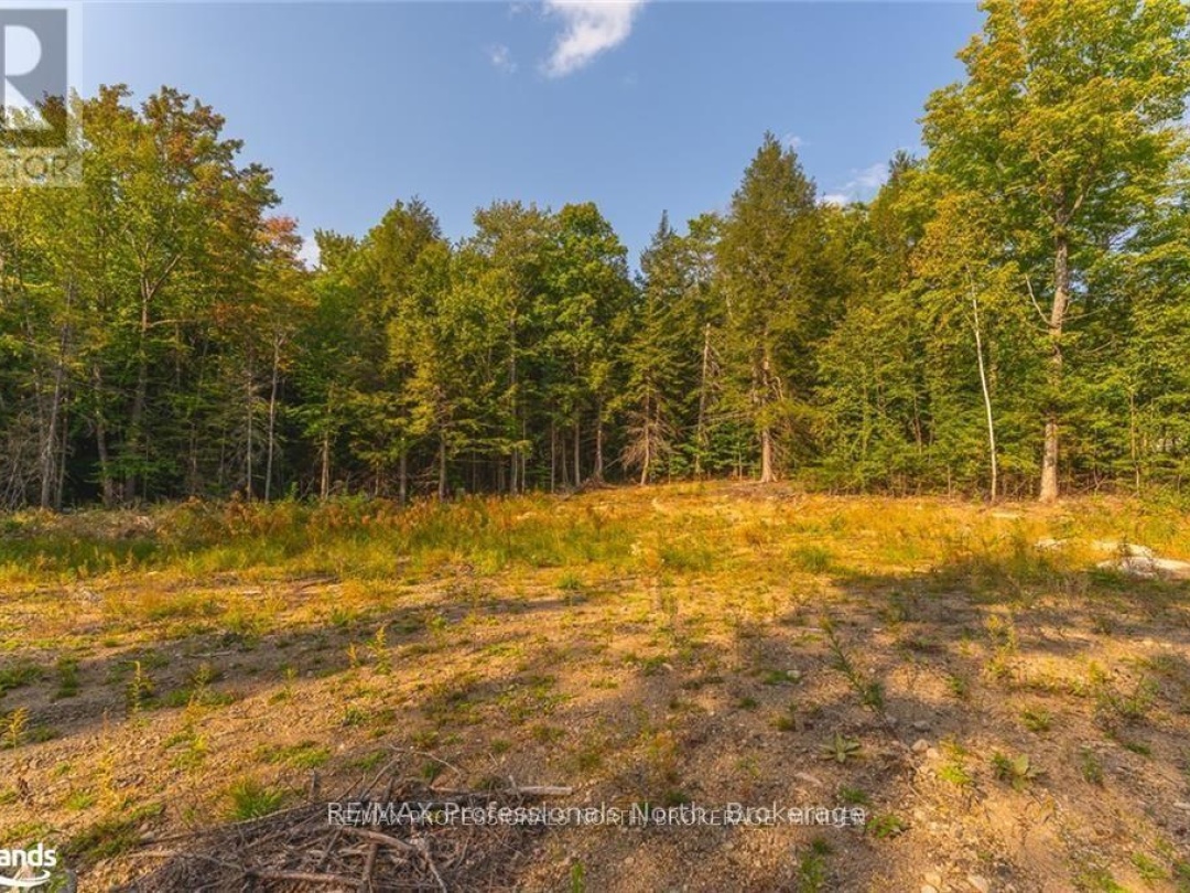 1205 Little Hawk Lake Road, Algonquin Highlands