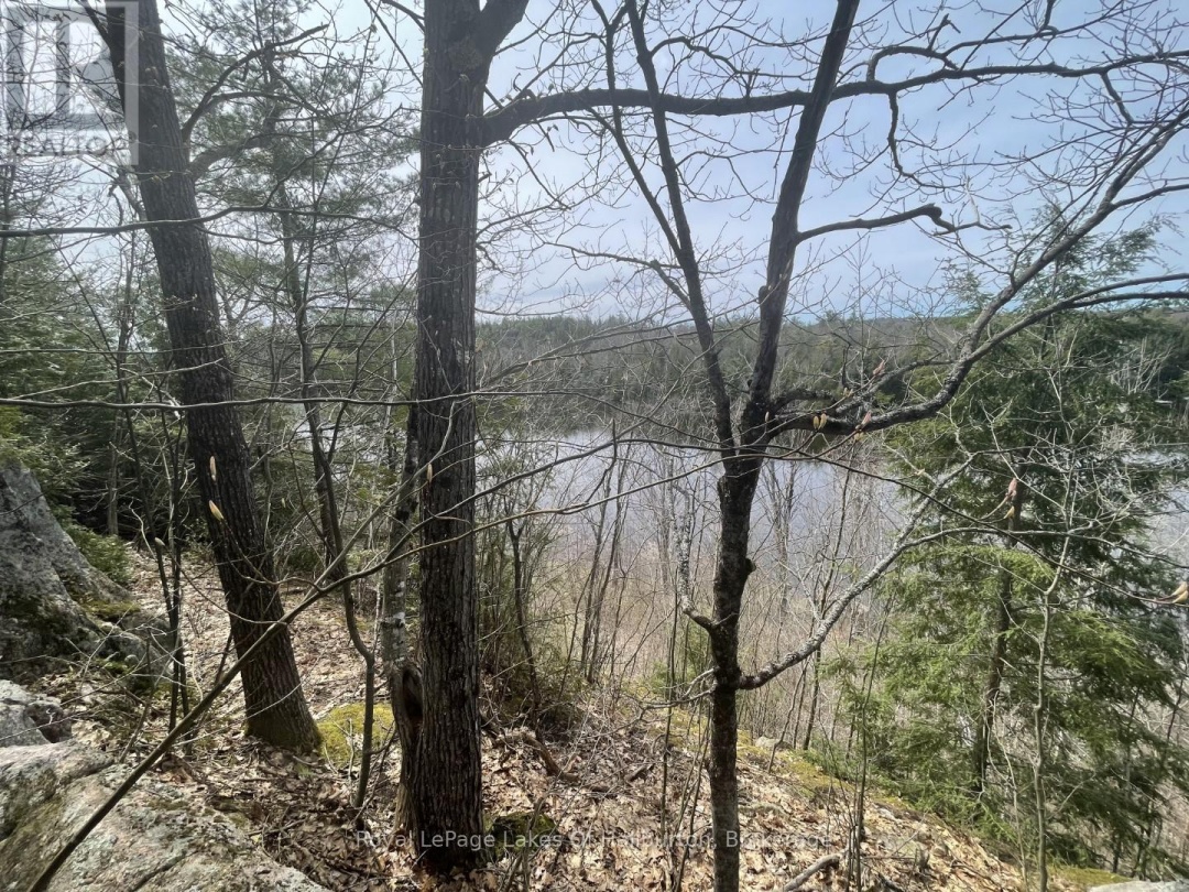 0 Starlight Road, Gull Lake