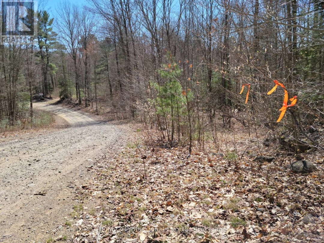 LOT 32 CONCESSION 11,