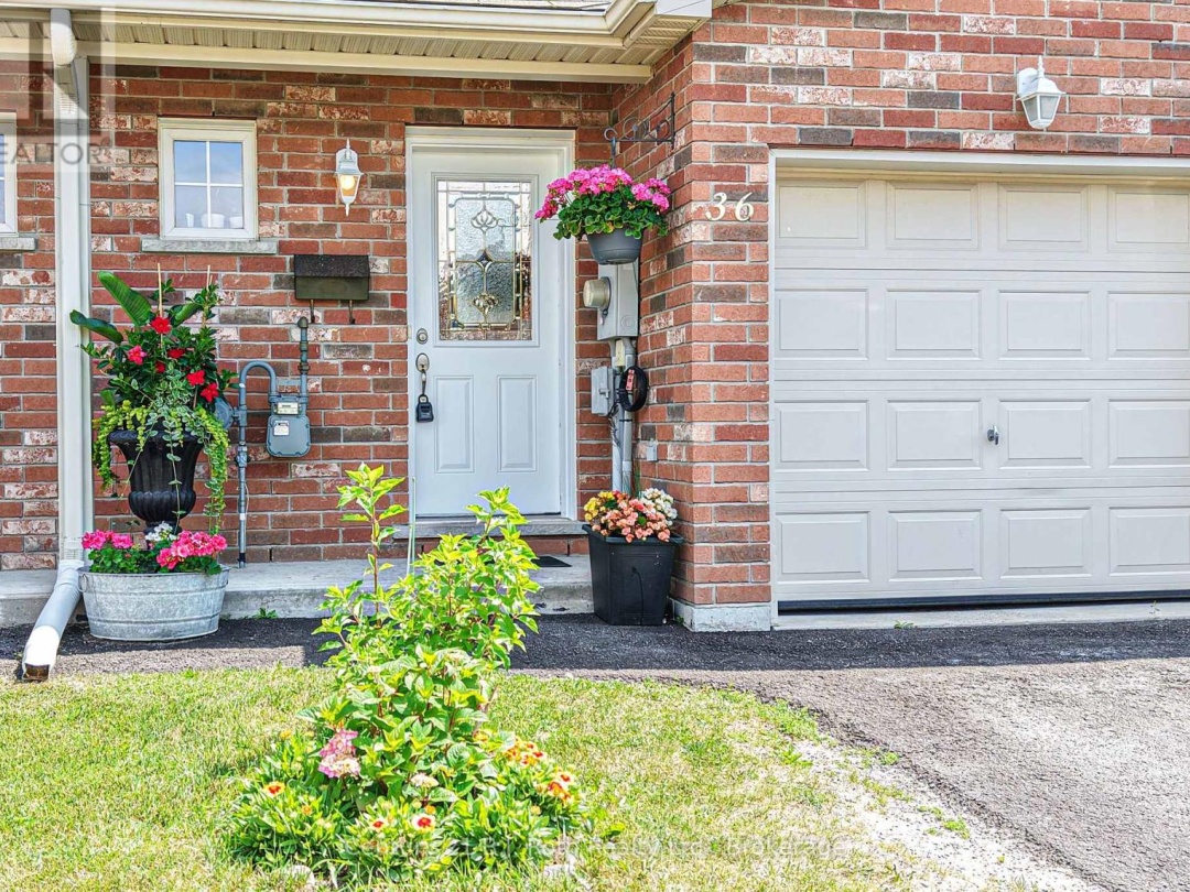 36 MICHELLE DRIVE, 