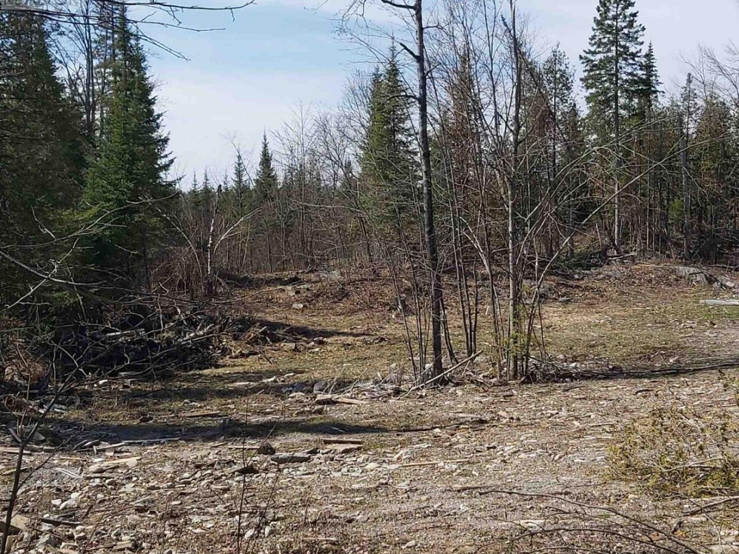 00 BASS LAKE ROAD N, Trent Lakes