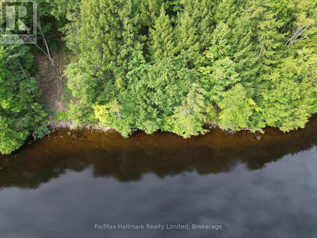 171 Town Line Road E, Fairy Lake