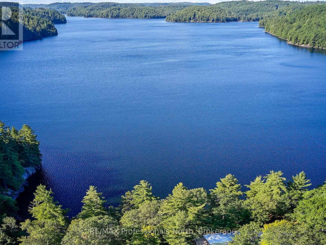 11405 DRAG LAKE EAST SHORE, 