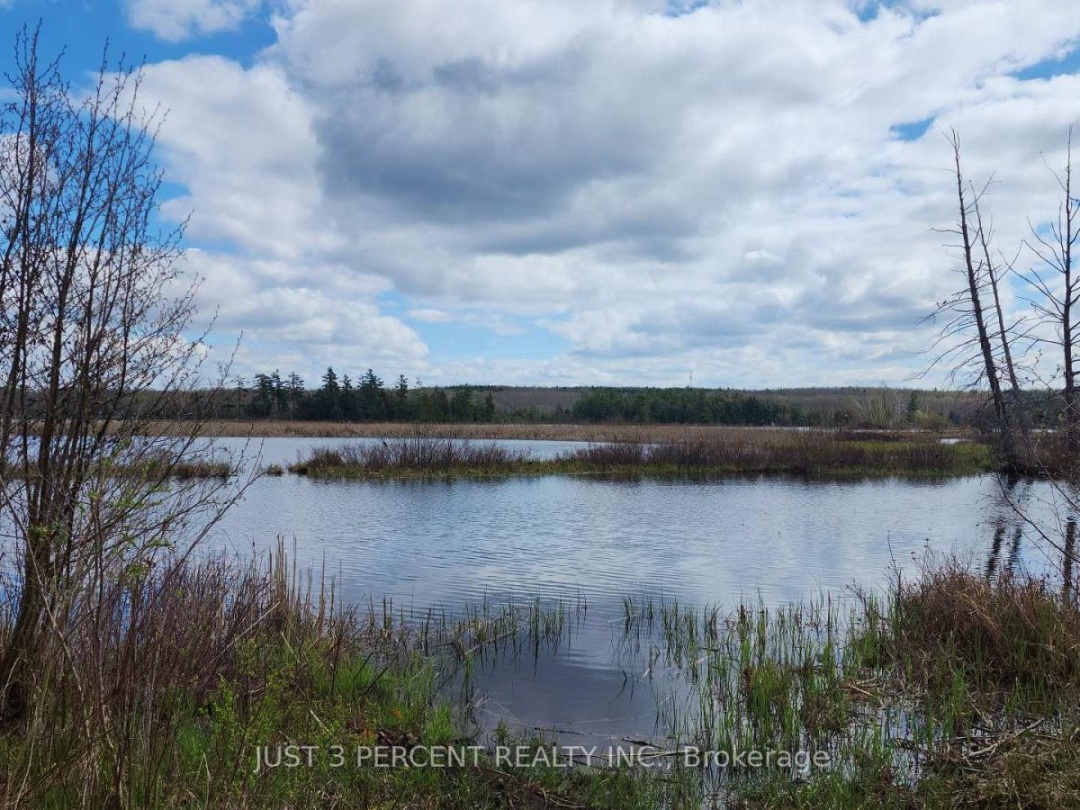 55 Northern Avenue, Little Bald Lake