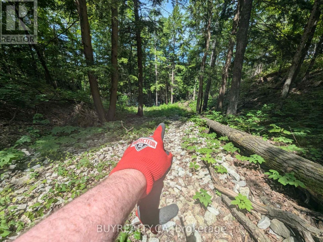 2318 SHERWOOD FOREST LANE, Severn River