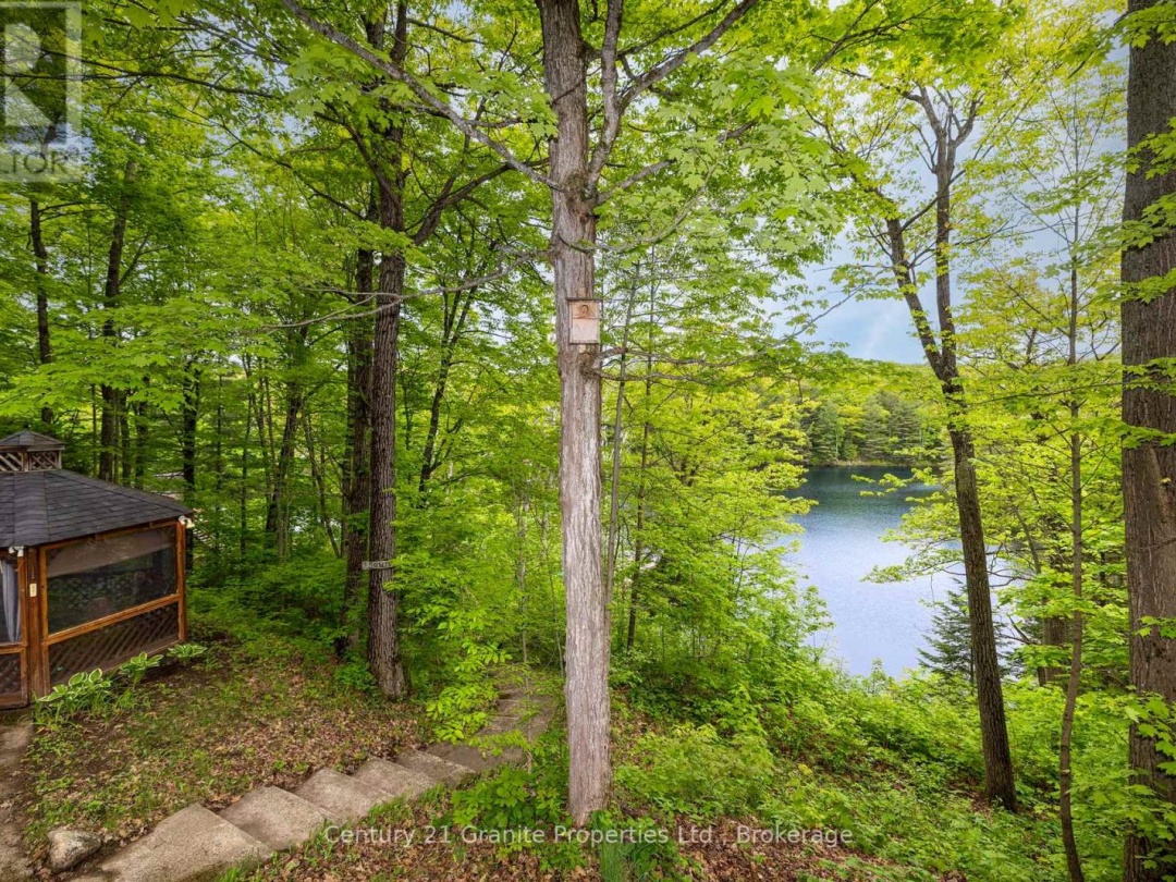 131 Downes Road, Horseshoe Lake