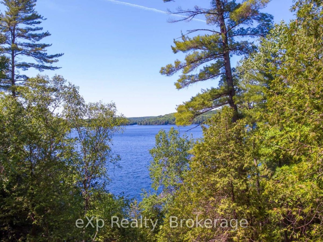 Lot # 4 Gonnsen Trail, Drag Lake