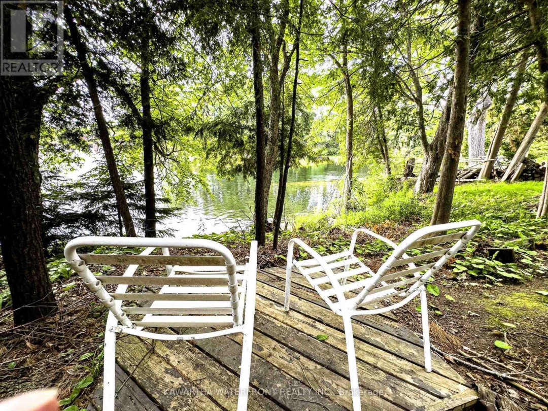 25 GOVERNMENT DOCK ROAD, 